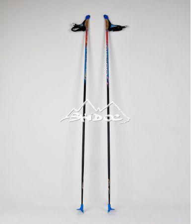 Batons Vasa SkiGO